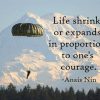 quote_lifeshrinks_web